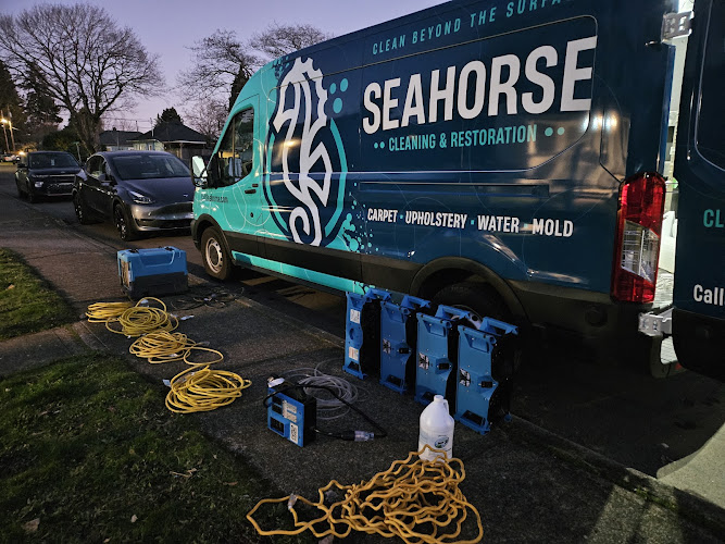 Seahorse Cleaning & Restoration