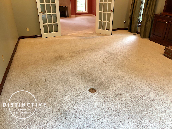 Distinctive Cleaning & Restoration