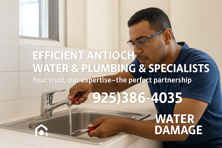 Efficient Specialists