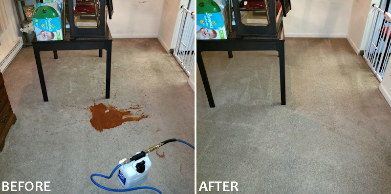 MS Carpet Cleaning