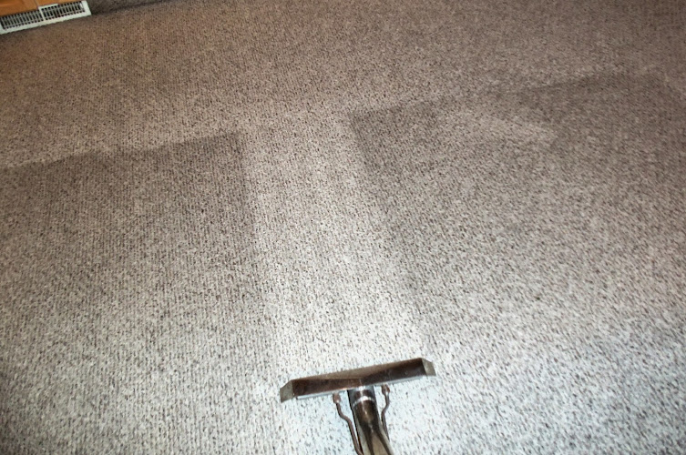 Merle's Steam Clean Carpet & Upholstery Cleaning