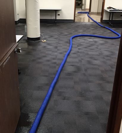 Nexus Water Damage Restoration Tampa