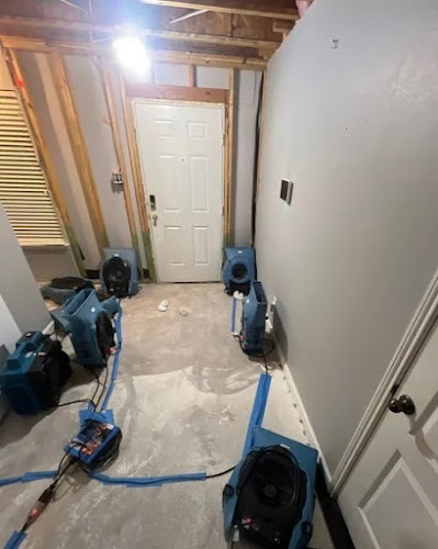 Dry Force Water Removal Specialists