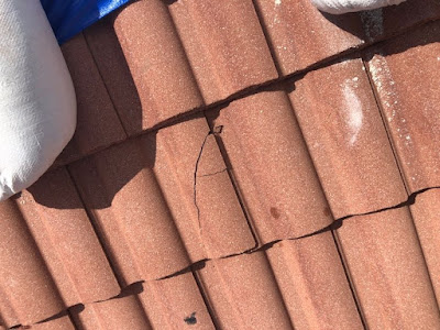 Shield Water Damage Restoration West Palm Beach FL