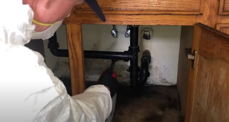 Urgent Mold Removal San Diego