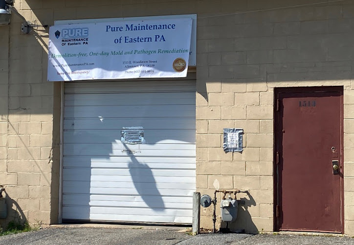 Pure Care Maintenance: Mold Removal