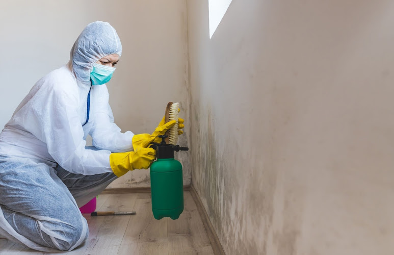 Mold Experts of Broken Arrow
