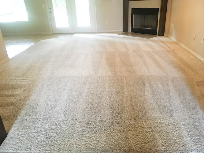 Aladen Carpet Cleaning