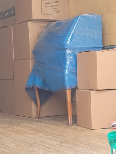 FRN Contents Specialist