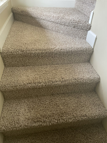 Brad's Carpet/ Rug & Tile Cleaning Since 1973