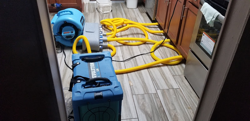 CJ EAGLE RESTORATION