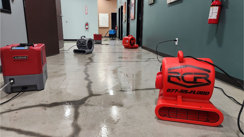 Rapid Clean Restoration