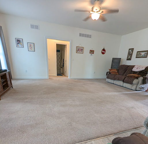 Vivid Colors Carpet Cleaning, Painting