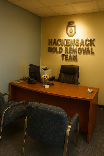 Hackensack Mold Removal Team