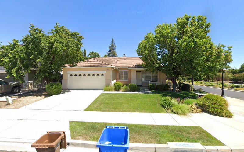 Rapid Dry Water Damage Specialists