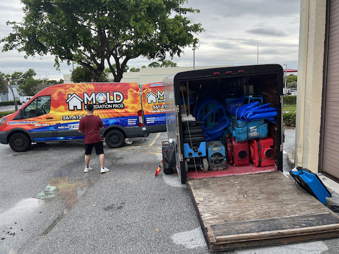 Mold Remediation of Naples