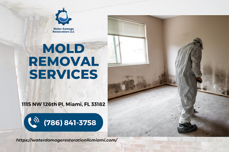Miami Water Mold Fire Damage Restoration