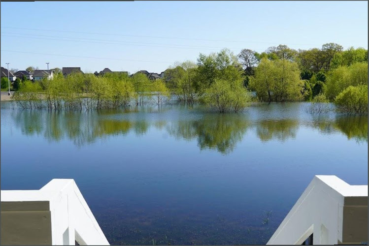 Blue Strength r & Mold