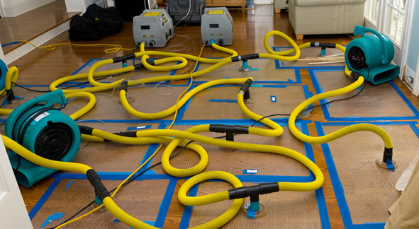 Drying Specialists of SW Florida