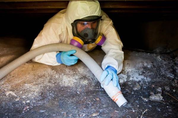 Los Angeles Water Damage Restoration and Mold Inspections