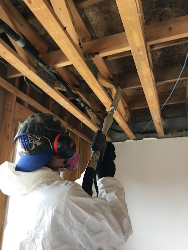 Woodstock Mold Removal INC.