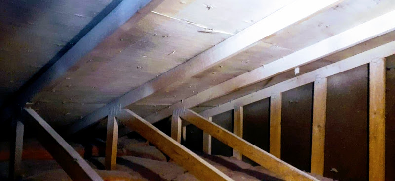 Apex Environmental Restoration