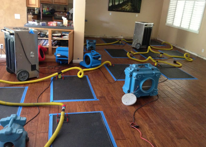 Nexus Water Damage Restoration Fort Lauderdale