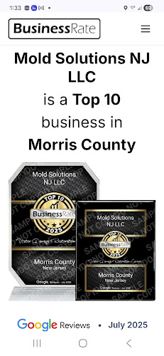 Mold Solutions NJ LLC